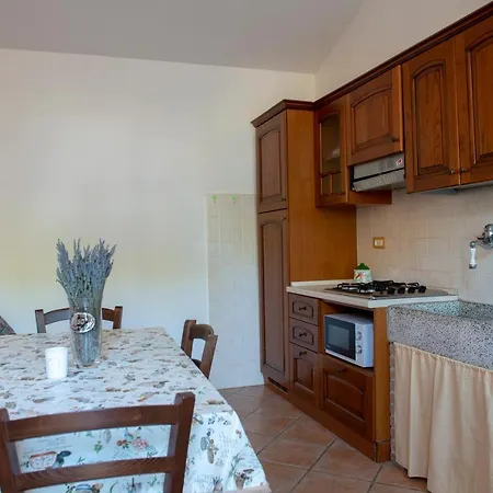 Poggio Picchio Guest House Bibbona Exterior photo