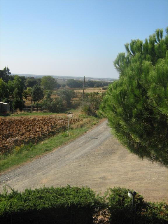 Poggio Picchio Landhaus