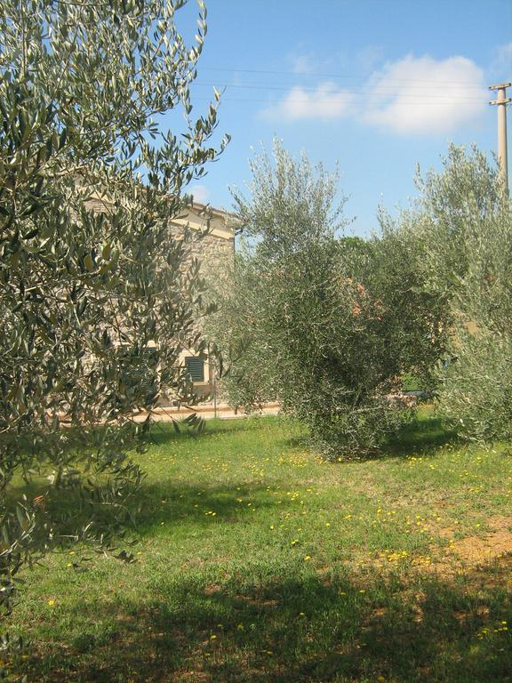 Poggio Picchio