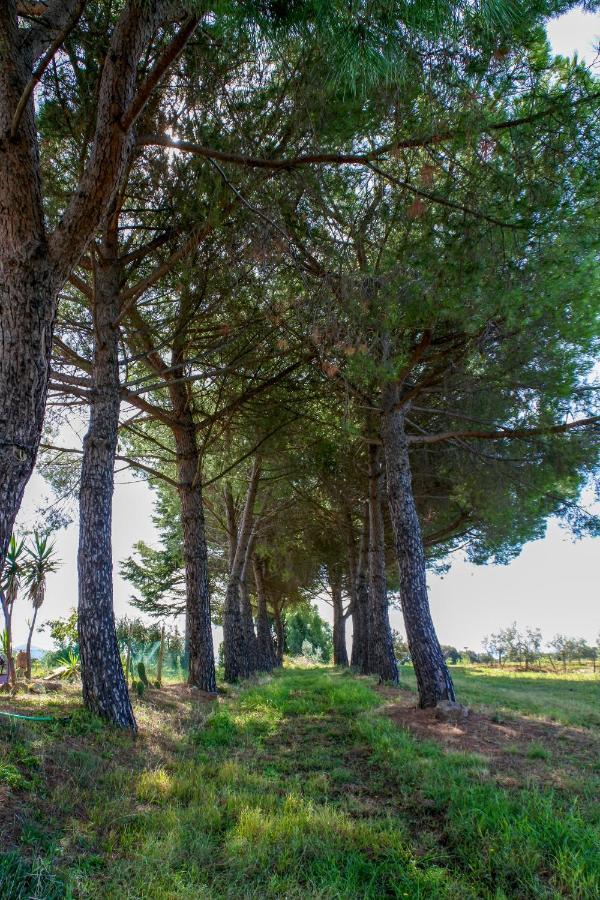 Country house Poggio Picchio Bibbona
