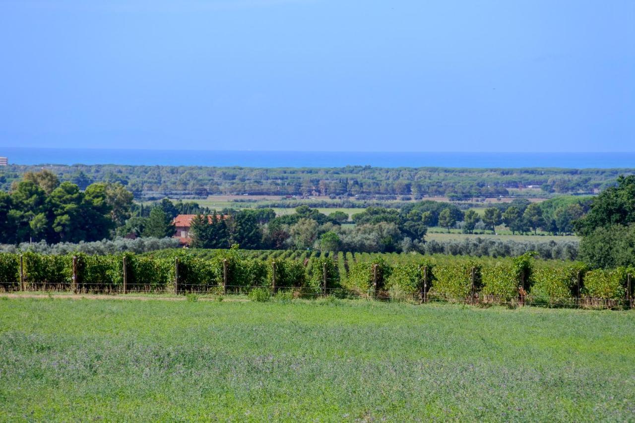 Poggio Picchio Landhaus Bibbona